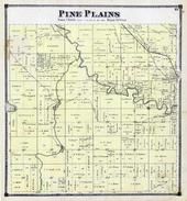Pine Plains Township, Mill Grove, Kalamazoo River, Allegan County 1873